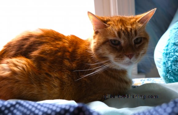 Sunbathing Clyde