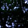 Water Drops