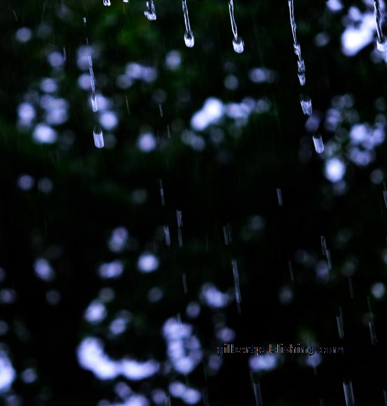 Water Drops