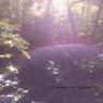 IMG_20151007_163300221