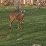 IMG_20151130_080634331