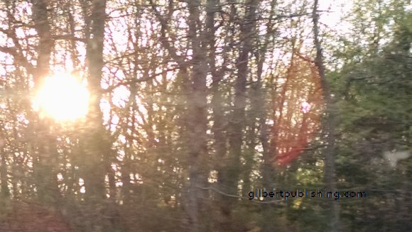 IMG_20160509_190514653